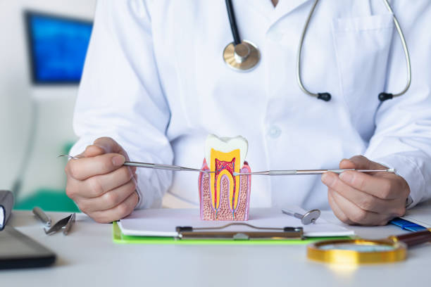 Best Urgent Dental Care for Toothache in Norton, KS